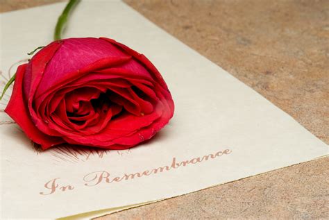 Remembering a Loved One: 12 Best Short Memorial Quotes