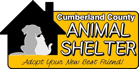 Pets for Adoption at Cumberland County Animal Shelter, in Crossville ...