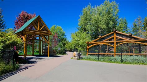 Magnetic Hill Zoo in Moncton - Tours and Activities | Expedia.ca