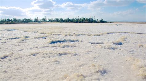 Larnaca Salt Lake - Larnaca Attraction | Expedia.com.au