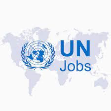 United Nations Office at Nairobi (UNON) Recruitment ( May 2024) :Open ...