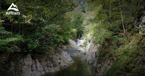 Best hikes and trails in Natural Bridge State Park | AllTrails