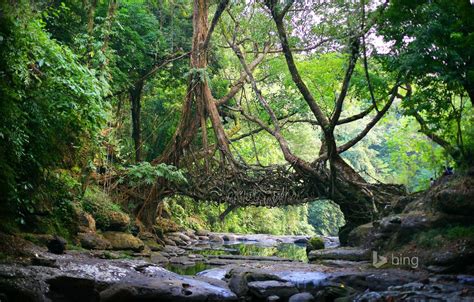 Meghalaya Wallpapers - Wallpaper Cave