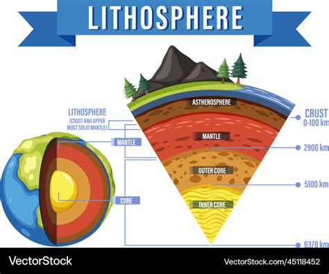 Diagram showing layers of the earth lithosphere Vector Image