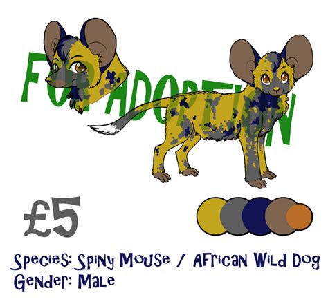 Spiny Mouse / African Wild Dog — Weasyl