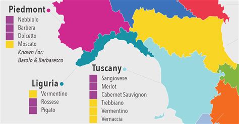 A Complete Introduction To The Wines Of Italy: MAP & INFOGRAPHIC | VinePair