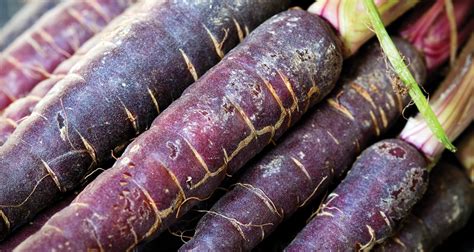 Purple Carrots, Anyone? - Farmers' Almanac - Plan Your Day. Grow Your Life.