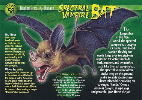 Spectral Vampire Bat | Weird n' Wild Creatures Wiki | Fandom