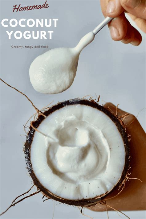 Dairy-Free Easy Coconut Yogurt - Alphafoodie