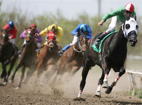 The meaning and symbolism of the word - «Horse-Race»