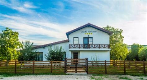 LIVADA BUNICILOR - Pension Reviews (Stremt, Romania)