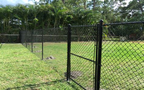 6 ft. Black Vinyl Chain Link Fence with Double Drive & Walk Gate