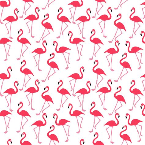 Flamingo Wallpaper Background Free Stock Photo - Public Domain Pictures