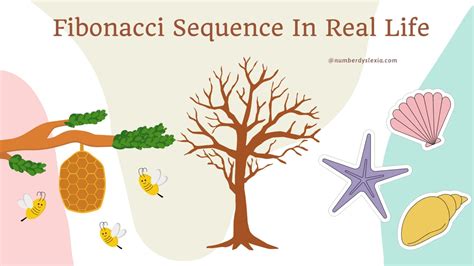 12 Real-Life Examples Of the Fibonacci Sequence To Understand It Better - Number Dyslexia