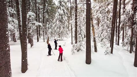 Winter in Cypress Hills Interprovincial Park: A Complete Guide to the Best Activities - The Lost ...