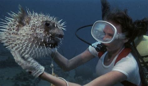 19+ Underwater Movies: The Art of Aquatic Horror – Creepy Catalog