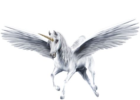 Image - An-Beautiful-White-Winged-Unicorn-unicorns-39364232-1300-931.png | Mythology Wiki ...