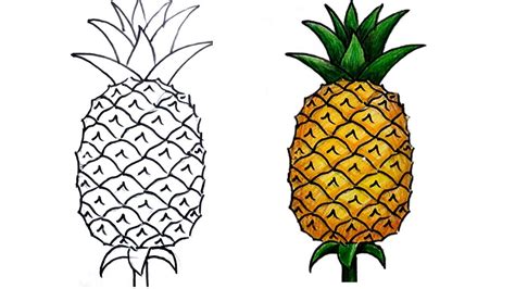 how to draw pineapple step by step (very easy) - YouTube