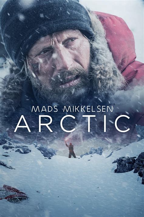 Arctic Movie Information & Trailers | KinoCheck