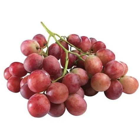 A Grade Fresh Red Globe Grapes, Packaging Type: Carton, Packaging Size: 10(Maximum Size) at Rs ...