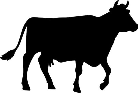 Premium Vector | Cattle vector silhouette illustration black color