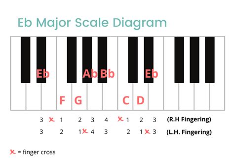 Eb Major Scale On The Piano - Notes, Fingerings & More