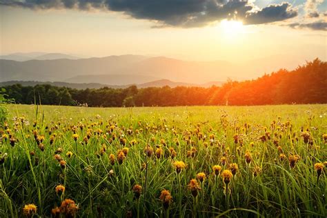 Amazing Scene In Summer Mountains. Lush Photograph by Ivan Kmit - Fine Art America