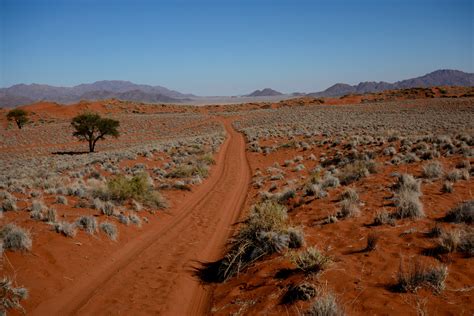 Namib-Naukluft National Park | Mal D' Africa