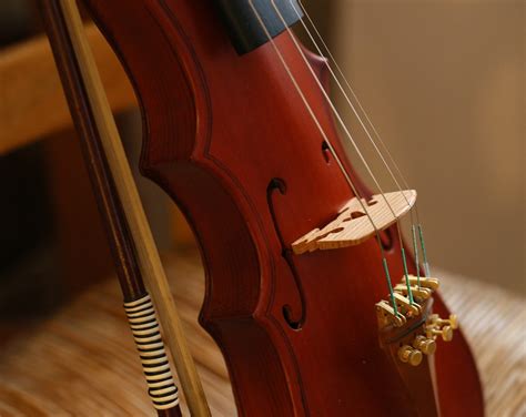 13 Types of Violins Every Violinist Should Know - Violinspiration