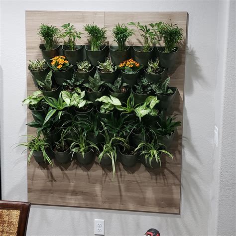 Made an indoor wall garden. : r/IndoorGarden