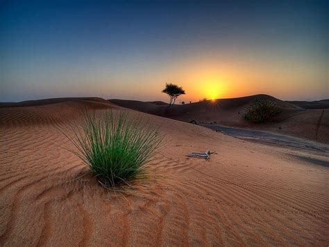 Desert Sunrise Wallpapers - Top Free Desert Sunrise Backgrounds - WallpaperAccess