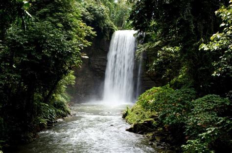 Falls No. 1 Lake Sebu | Lake sebu, Waterfall, Outdoor