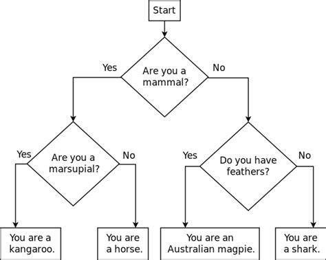 CS 101: Lab 5: Animal Classifier