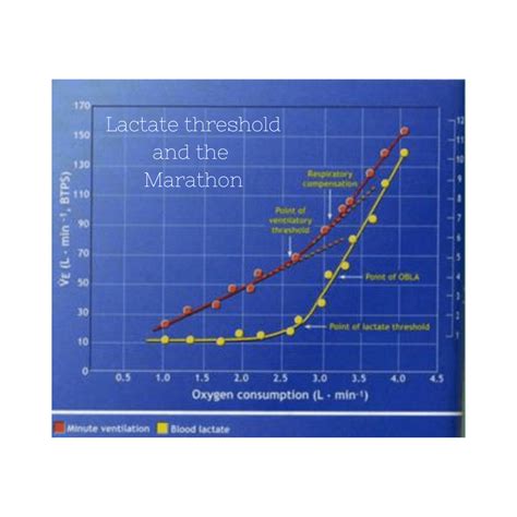 Lactate threshold and the marathon - Luke Humphrey Running