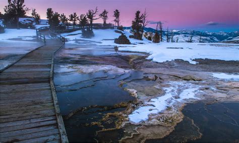 Yellowstone in Winter: The Complete Guide - Wiki Point