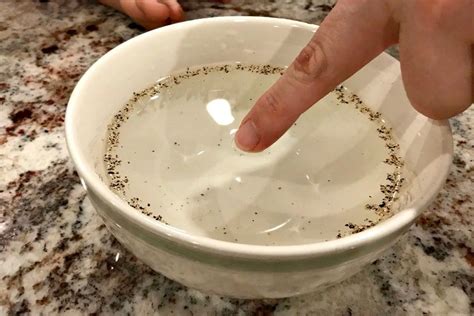 This super simple surface tension science experiment for kids will leave your kiddos amazed! It ...