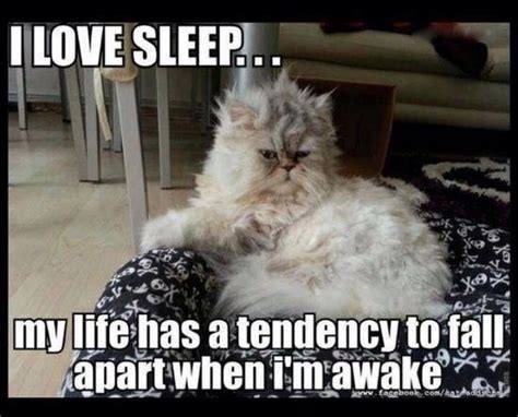 Pin by Joy Mullins on LOL | I love sleep, Sleep meme funny, Sleep funny