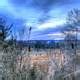 Marsh Overlook in Madison, Wisconsin image - Free stock photo - Public ...