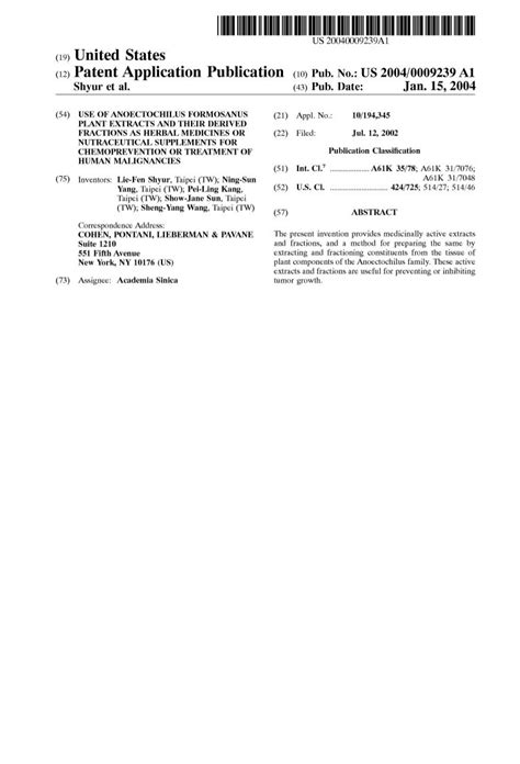 United States Patent Application Publication