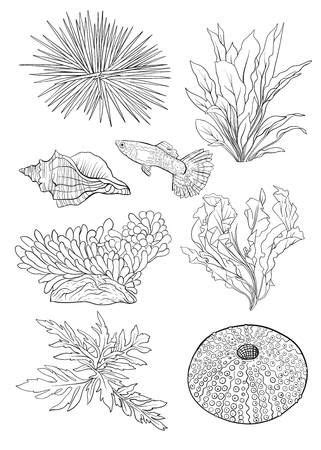 Sea collection. Original Vector illustration. Outline hand drawing. Isolated on white background ...