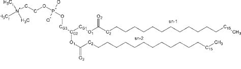 Figure 1 from Development of the CHARMM Force Field for Lipids ...