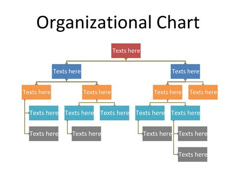 Management Organizational Chart Template | Organizational chart, Organization chart, Word template