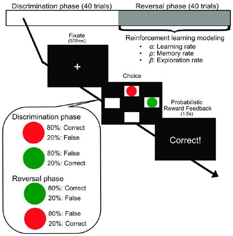 Probabilistic reversal-learning paradigm. The task consisted of 80 ...