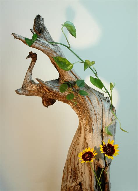 Driftwood Flowers Free Stock Photo - Public Domain Pictures