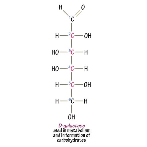 Biochemistry Glossary: D-galactose | ditki medical & biological sciences