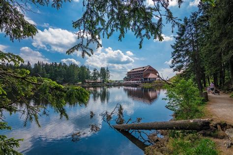 Black Forest National Park (Nationalpark Schwarzwald)