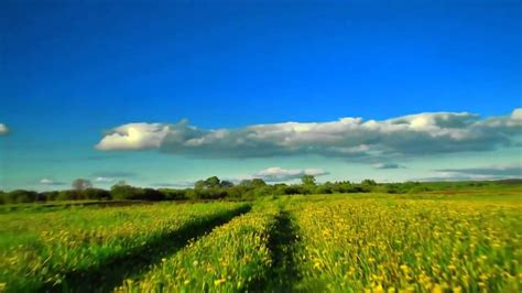 Belarus Nature - YouTube