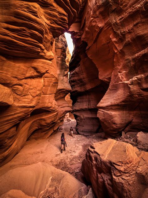 Happy Canyon | Canyons utah, Utah national parks map, Canyon