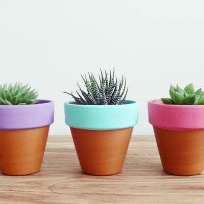 Painted Terracotta Pots {Plants and Planters} | Tip Junkie