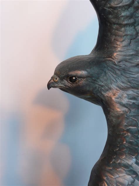 Peregrine Falcon, Bronze Sculpture | Tom Hjorleifson